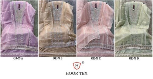 hoor tex OR-79 A To D Heavy Organza wholesale suit   hoor tex or 79 a to d heavy organza wholesale suit 7 2025 04 17 15 36 17.jpeg